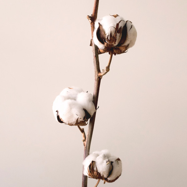 Brume Parfumée Musc & Coton 150ml | Véronika Loubry Parfum